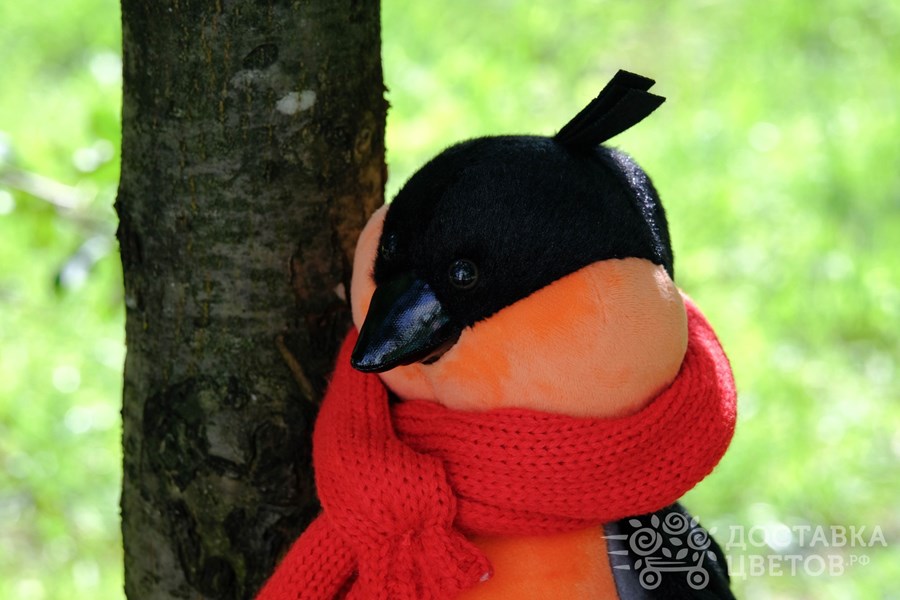 Мягкая игрушка Снегирь Боб красный шарф
